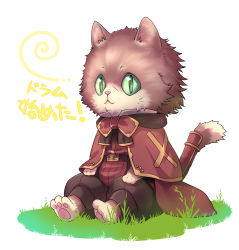 Rule 34 | 1boy, barefoot, belt, brown belt, brown capelet, brown coat, brown pants, capelet, cat boy, closed mouth, coat, commentary request, fluffy, full body, furry, furry male, grass, highres, kawagoe pochi, looking at viewer, male focus, pants, ragnarok online, sitting, solo, summoner (ragnarok online), white background