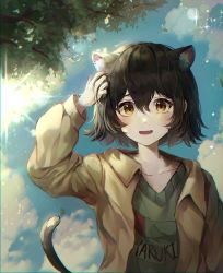 Rule 34 | 1girl, absurdres, adjusting hair, animal ears, arm up, black hair, blush, brown eyes, cat ears, cat girl, cat tail, character request, collarbone, copyright request, hair between eyes, highres, huge filesize, long sleeves, looking at viewer, messy hair, mirage (rairudiseu), parted lips, short hair, smile, solo, tail, upper body, wavy hair