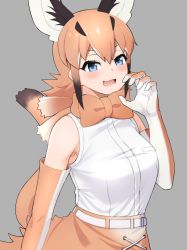 Rule 34 | 1girl, :d, absurdres, animal ears, bare shoulders, belt, black hair, blue eyes, bow, bowtie, breasts, caracal (kemono friends), claw pose, deku suke, elbow gloves, extra ears, fang, gloves, grey background, hair between eyes, highres, kemono friends, light blush, looking at viewer, medium breasts, multicolored hair, open mouth, orange bow, orange bowtie, orange hair, shirt, simple background, skin fang, skirt, sleeveless, sleeveless shirt, smile, solo, tail, white belt, white hair
