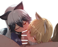 Rule 34 | 10s, 1boy, 2girls, animal ears, bad id, bad tumblr id, bar censor, black hair, blonde hair, blush, bow, breath, brown eyes, censored, cooperative fellatio, ezo red fox (kemono friends), fellatio, fox ears, fox tail, hair between eyes, hetero, kemono friends, licking, licking penis, long hair, looking at viewer, male pubic hair, multicolored hair, multiple girls, one eye closed, oral, penis, pov, pov crotch, pubic hair, silver fox (kemono friends), silver hair, simple background, sumiyao (amam), sweat, tail, tongue, tongue out, two-tone hair, veins, veiny penis, white background