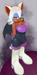 Rule 34 | breasts, cleavage, large breasts, rouge the bat, sega, sindoll, sonic (series), tail, wings
