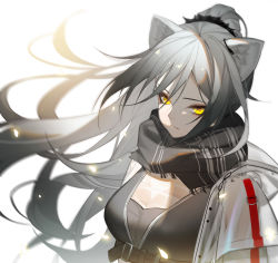 Rule 34 | 1girl, animal ears, arknights, black scarf, breasts, cat ears, commentary, female focus, highres, jacket, large breasts, long hair, looking at viewer, molianmengdada, open clothes, open jacket, scarf, schwarz (arknights), silver hair, simple background, solo, upper body, white background, white jacket, yellow eyes