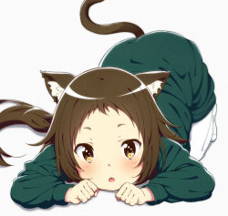 Rule 34 | 1girl, all fours, animal ears, blush, brown eyes, brown hair, cat ears, cat tail, commentary request, dress, fang, green dress, highres, jabittoson, long hair, long sleeves, looking at viewer, mikakunin de shinkoukei, mitsumine mashiro, open mouth, pantyhose, ponytail, simple background, solo, tail, white background, white pantyhose