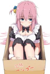 Rule 34 | 1girl, absurdres, apron, black bow, blue eyes, bocchi the rock!, bow, bowtie, box, cardboard box, closed mouth, cube hair ornament, frills, gotoh hitori, hair between eyes, hair ornament, highres, in box, in container, long hair, maid, one side up, pink hair, puffy short sleeves, puffy sleeves, short sleeves, simple background, sitting, solo, spice mega, white background