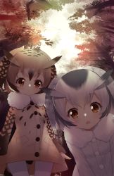 Rule 34 | 2girls, :o, absurdres, bird tail, bitseon, bloom, blush, breasts, brown coat, brown hair, canopy, closed mouth, coat, cowboy shot, day, eurasian eagle owl (kemono friends), eyelashes, forest, from below, fur trim, highres, kemono friends, leaf, leaning forward, looking at viewer, multicolored hair, multiple girls, nature, northern white-faced owl (kemono friends), open mouth, pantyhose, short hair, silver hair, sky, small breasts, standing, streaked hair, tail, tree, upper body, white coat, white legwear