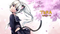 Rule 34 | 1girl, 2016, absurdres, animal ears, artist request, black shirt, black skirt, cat ears, cat tail, cherry blossoms, copyright name, dated, elin, from behind, head tilt, highres, long hair, looking back, petals, ponytail, purple eyes, school uniform, serafuku, shirt, silver hair, skirt, smile, solo, tail, tera online, tree, upper body, wind, wind lift