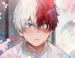 Rule 34 | 1boy, akira aishi, artist name, blue eyes, blurry, blurry background, blush, boku no hero academia, branch, bright pupils, burn scar, cherry blossoms, collared shirt, commentary, english commentary, eyes visible through hair, falling petals, flower, grey eyes, hair between eyes, heterochromia, highres, indoors, long bangs, looking ahead, lovestruck, male focus, multicolored hair, pac-man eyes, parted lips, petals, pink flower, portrait, red hair, scar, scar on face, shirt, short hair, shouji, sliding doors, solo, split-color hair, todoroki shouto, two-tone hair, white hair, white pupils, white shirt, wing collar