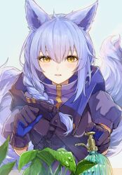 Rule 34 | 1girl, animal ears, arknights, black gloves, black jacket, blue background, blue gloves, blush, braid, commentary, gloves, highres, jacket, joul 0704, long hair, looking at viewer, parted lips, plant, provence (arknights), purple hair, simple background, solo, tail, two-tone gloves, water drop, watering can, wolf ears, wolf girl, wolf tail, yellow eyes