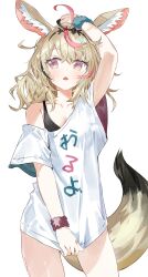 Rule 34 | 1girl, absurdres, animal ear fluff, animal ears, arm up, black bra, blonde hair, bra, breasts, chestnut mouth, cleavage, clothes pull, collarbone, cowboy shot, fox ears, fox girl, fox tail, hair ornament, highres, hololive, looking to the side, medium hair, messy hair, multicolored hair, no pants, off shoulder, omaru polka, open mouth, pink hair, propeller hair ornament, purple eyes, ryoma (rym 369), scrunchie, shirt, shirt pull, short sleeves, simple background, single bare shoulder, small breasts, solo, standing, streaked hair, t-shirt, tail, underwear, virtual youtuber, white background, white shirt, wrist scrunchie, yellow eyes