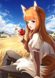 Rule 34 | 1girl, absurdres, animal ear fluff, animal ears, apple, black pants, blue sky, brown hair, cloud, commentary request, day, food, fruit, highres, holding, holding food, holding fruit, holo, long hair, looking at viewer, open mouth, outdoors, pants, red eyes, shirt, sitting, sky, solo, spice and wolf, sunny (20597521), tail, teeth, upper teeth only, wheat field, white shirt, wolf ears, wolf girl, wolf tail