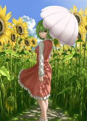 Rule 34 | 1girl, cloud, day, female focus, field, flower, flower field, from behind, green hair, highres, kazami yuuka, looking back, nature, outdoors, plaid, plaid skirt, plaid vest, plant, red eyes, revision, shade, short hair, skirt, skirt set, sky, smile, socks, solo, sunflower, sunflower field, teiraa, touhou, umbrella, vest