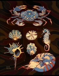 Rule 34 | animal focus, artist name, brown background, commentary, conch, crab, english commentary, fish, highres, ivy teas, light particles, no humans, original, sand dollar, seahorse, seashell, shell, shrimp, simple background