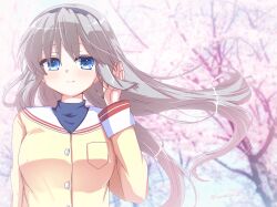 Rule 34 | 1girl, adjusting hair, black hairband, blue eyes, blurry, blurry background, blush, breasts, cherry blossoms, clannad, closed mouth, commentary request, day, eyes visible through hair, floating hair, grey hair, hair between eyes, hairband, highres, hikarizaka private high school uniform, jacket, large breasts, long hair, long sleeves, looking at viewer, outdoors, sailor collar, sakagami tomoyo, school uniform, sidelocks, smile, solo, turtleneck, twitter username, upper body, very long hair, white sailor collar, wind, wind lift, yaki-ayato, yellow jacket