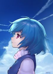 Rule 34 | 1girl, ainy, bad id, bad twitter id, blue hair, blue vest, cloud, day, from side, juliet sleeves, long sleeves, looking up, portrait, puffy sleeves, red eyes, short hair, signature, sky, smile, solo, tatara kogasa, touhou, vest