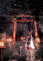 Rule 34 | 1girl, bow, brown hair, detached sleeves, expressionless, forest, gohei, hair bow, hakurei reimu, highres, holding, holding gohei, looking at viewer, multiple torii, nature, night, night sky, nontraditional miko, red bow, red shirt, red skirt, shinto, shirt, skirt, sky, solo, t terano, torii, touhou, tree, white sleeves
