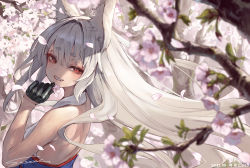 Rule 34 | 1girl, animal ear fluff, animal ears, bare shoulders, black gloves, cherry blossoms, dated, flower, gloves, half gloves, hand up, highres, long hair, looking at viewer, original, petals, red eyes, signature, smile, solo, suzuno (bookshelf), symbol-shaped pupils, thick eyebrows, twitter username, upper body, white hair