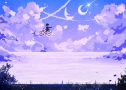 Rule 34 | 1girl, bicycle, bird, blue theme, cloud, cloudy sky, commentary, crescent moon, flying, larienne, monochrome, moon, night, night sky, original, outdoors, purple theme, riding, riding bike, scenery, short hair, silhouette, sky, star (sky), starry sky