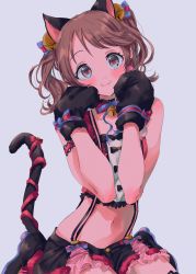 Rule 34 | 1girl, :3, animal ears, animal hands, armband, bell, black bow, blue ribbon, blush, bow, bowtie, brown eyes, brown hair, cat ears, commentary request, crop top, earrings, gloves, grey background, hair bell, hair ornament, hands on own cheeks, hands on own face, highres, idolmaster, idolmaster cinderella girls, idolmaster cinderella girls starlight stage, jewelry, jingle bell, looking at viewer, najuco (naju0517), navel, neck ribbon, paw gloves, pom pom (clothes), pom pom earrings, red ribbon, ribbon, shiina noriko, sitting, solo, striped ribbon, suspenders, tail, tail ornament, tail ribbon, twintails
