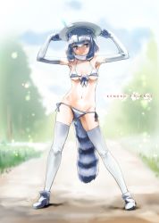 Rule 34 | 10s, 1girl, alternate costume, animal ears, armpits, arms up, bikini, boots, breasts, bucket hat, chikuwa (tks), commentary request, common raccoon (kemono friends), copyright name, day, extra ears, front-tie bikini top, front-tie top, full body, fur collar, gloves, gluteal fold, grey bikini, grey eyes, grey gloves, grey hair, grey thighhighs, hat, hat feather, highres, kemono friends, legs apart, medium breasts, multicolored hair, navel, outdoors, raccoon ears, raccoon tail, short hair, side-tie bikini bottom, smile, solo, striped tail, swimsuit, tail, thighhighs