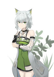 Rule 34 | 1girl, absurdres, animal ears, arknights, bare shoulders, black choker, cat ears, choker, coat, commentary, cowboy shot, dress, green dress, green eyes, grey coat, grey hair, highres, kal&#039;tsit (arknights), long sleeves, looking at viewer, off shoulder, open clothes, open coat, sarea (sarea2020), short dress, short hair, simple background, solo, standing, stethoscope, white background