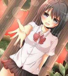 Rule 34 | 1girl, bad id, bad nicoseiga id, black eyes, black hair, black skirt, breasts, female focus, forest, heart, heart-shaped pupils, looking at viewer, microskirt, nature, open mouth, original, outdoors, plant, pleated skirt, skirt, sky, solo, symbol-shaped pupils, yamasuta