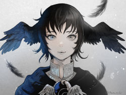 Rule 34 | 1girl, black hair, blue capelet, blue hair, capelet, feathers, final fantasy, final fantasy xiv, grey background, grey eyes, head wings, looking at viewer, meteion, muraicchi (momocchi), portrait, short hair, solo, spoilers, transformation, twitter username, wing ears, wings