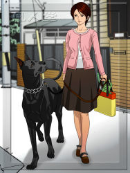 Rule 34 | 1girl, bag, brown hair, building, cardigan, depth of field, dog, groceries, grocery bag, leash, looking at another, mature female, outdoors, pantyhose, parted lips, shoes, shopping bag, short hair, skirt, spring onion, standing, street, tankuro (funhouse), town, walking