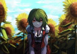 Rule 34 | 1girl, bent over, berabou, blue sky, blurry, breasts, cleavage, cloud, day, downblouse, field, flower, flower field, green hair, kazami yuuka, leaning forward, long sleeves, looking at viewer, md5 mismatch, plaid, plaid skirt, plaid vest, puffy sleeves, red eyes, resized, shade, shirt, short hair, skirt, sky, smile, solo, sunflower, touhou, vest