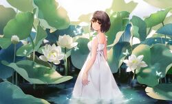Rule 34 | 1girl, black hair, bob cut, brown eyes, bug, butterfly, dew drop, double-parted bangs, dress, feet out of frame, flower, from behind, hair between eyes, insect, looking at viewer, looking back, lotus, lotus leaf, original, parted lips, ruru (lulubuu), sleeveless, sleeveless dress, spaghetti strap, standing, wading, water, water drop, white background, white butterfly, white dress, white flower