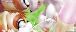 Rule 34 | autofacial, cream the rabbit, cum, cum in mouth, cum in own mouth, cum on self, ejaculating while penetrated, ejaculation, facial, futa with futa, futanari, highres, mother and daughter, sonic (series), tcprod, vanilla the rabbit