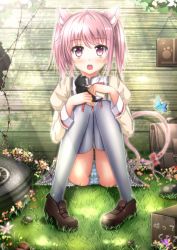 Rule 34 | 10s, 1girl, ahoge, amy (madoka magica), animal ears, baby bottle, bad id, bad pixiv id, bag, barbed wire, blue panties, blush, bottle, bow, box, bug, butterfly, cardboard box, cat, cat ears, cat tail, flower, for adoption, grass, heart, hugging own legs, insect, kaname madoka, light rays, mahou shoujo madoka magica, mahou shoujo madoka magica (anime), mary janes, open mouth, panties, pantyshot, paw print, pigeon-toed, pink eyes, pink hair, ribbon, school bag, school uniform, shoes, short hair, sitting, solo, striped clothes, striped panties, sunbeam, sunlight, swordsouls, tail, tail bow, tail ornament, tail ribbon, thighhighs, tire, twintails, underwear, white panties, white thighhighs