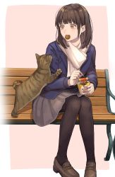 Rule 34 | 1girl, animal, bench, blue jacket, brown background, brown eyes, brown footwear, brown hair, brown pantyhose, brown skirt, cat, chicken nuggets, commentary request, food, food in mouth, highres, holding, jacket, loafers, looking away, mouth hold, on bench, original, pantyhose, park bench, pleated skirt, saino misaki, scarf, shoes, sitting, skirt, solo, toothpick, two-tone background, white background, white scarf