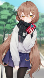 Rule 34 | 1girl, absurdres, ahoge, alternate costume, aotake iro, black pantyhose, black scarf, blue skirt, blurry, blurry background, blush, brown eyes, brown hair, commentary request, enpera, fingernails, gift, grey sweater, hair down, hair ornament, hairclip, highres, holding, holding gift, hololive, hololive english, long hair, looking at viewer, multicolored hair, nanashi mumei, nervous, pantyhose, park, pleated skirt, scarf, skirt, skirt tug, streaked hair, sweat, sweater, tree, valentine, very long hair, virtual youtuber