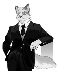 Rule 34 | 1boy, absurdres, animal ears, black necktie, black suit, commentary, echo project, english commentary, formal, fox boy, fox ears, fox tail, furry, furry male, grey vest, hand in pocket, highres, jewelry, jim sterling (the smoke room), looking at viewer, male focus, monochrome, necktie, ring, shirt, suit, tail, the smoke room, thesketchfox, vest, white shirt