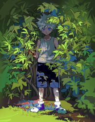 Rule 34 | 1boy, arm at side, blood, blood on arm, blood on ground, blood on hands, blood on leg, blue eyes, blue shorts, closed mouth, dappled sunlight, day, full body, grey hair, highres, hunter x hunter, killua zoldyck, looking at viewer, male focus, nature, outdoors, plant, shoes, short hair, shorts, sleeveless, solo, spiked hair, standing, sunlight, tank top, two pokemon
