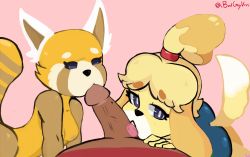 Rule 34 | 10s, 1boy, 2girls, aggressive retsuko, all fours, animal crossing, animal ears, artist name, ass, badguyvivi, black eyes, blonde hair, blue skirt, blush, breasts, collarbone, cooperative fellatio, dark-skinned male, dark skin, dog ears, dog tail, erection, fellatio, furry, half-closed eyes, isabelle (animal crossing), licking, lying, medium breasts, multiple girls, nintendo, nipples, on side, open mouth, oral, penis, pink background, red panda, red shirt, retsuko, shirt, short hair, simple background, skirt, tail, teeth, text focus, tongue, tongue out, twitter username, uncensored