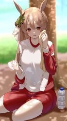 Rule 34 | 1girl, animal ears, bottle, breasts, brown eyes, brown hair, commentary request, ear ornament, half updo, highres, horse ears, horse girl, iwashi 111, jacket, large breasts, long hair, looking at viewer, red jacket, red shorts, red track suit, satono diamond (umamusume), shirt, shorts, sitting, solo, tracen training uniform, track jacket, track suit, tree, umamusume, water bottle, white shirt