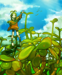 Rule 34 | 1girl, antenna hair, bad id, bad pixiv id, bird, cloud, day, green hair, haruo (clownberry), highres, monster girl, nature, original, plant, plant girl, pointing, sky, solo