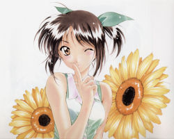 Rule 34 | 1990s (style), 1girl, flower, kai tomohisa, morii kaho, one eye closed, sentimental graffiti, solo, sunflower, wink