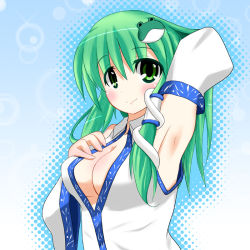 Rule 34 | 1girl, armpits, arms up, breasts, cleavage, detached sleeves, female focus, frog, gradient background, green eyes, green hair, hair ornament, halftone, halftone background, japanese clothes, kochiya sanae, matching hair/eyes, miko, snake, solo, touhou, upper body, yokoshima (euphoria)