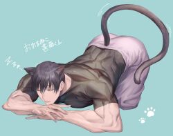 Rule 34 | 1boy, animal ears, aqua background, bara, black hair, cat boy, cat ears, cat tail, closed eyes, closed mouth, fushiguro touji, highres, jujutsu kaisen, large pectorals, male focus, muscular, muscular male, pants, papagro12, pectorals, scar, scar on face, scar on mouth, short hair, simple background, sleeping, solo, tail, translation request, white pants
