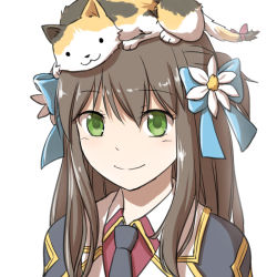Rule 34 | 1girl, :3, animal, animal on head, black necktie, blazer, blue bow, bow, brown hair, calico, cat, cat on head, closed mouth, collared shirt, commentary request, genetic (ragnarok online), green eyes, hair bow, half updo, jacket, long hair, looking at viewer, natsuya (kuttuki), necktie, on head, ragnarok online, red shirt, shirt, short ponytail, simple background, smile, solo, upper body, white background, white jacket