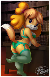 Rule 34 | 14-bis, 1girl, animal crossing, animal ears, arched back, artist name, ass, blonde hair, blue eyes, blush stickers, book, bookshelf, border, bra, breasts, brown background, closed mouth, dated, desk, dog ears, dog girl, dog tail, female focus, frilled bra, frilled panties, frills, from behind, full body, furry, furry female, garter belt, garter straps, green bra, green panties, green thighhighs, hair tie, happy, indoors, isabelle (animal crossing), leg up, looking at viewer, looking back, medium breasts, nintendo, panties, short hair, smile, solo, standing, standing on one leg, tail, thighhighs, topknot, underwear, underwear only, watermark, white border