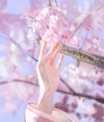 Rule 34 | 1other, arm up, bad id, bad twitter id, blurry, blurry background, cherry blossoms, commentary, hand focus, hand up, highres, jenmin12, long sleeves, original, photorealistic, pink theme, realistic, solo