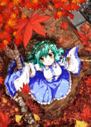 Rule 34 | 1girl, breasts, detached sleeves, female focus, frog, full body, green hair, hair ornament, highres, japanese clothes, kochiya sanae, nature, outdoors, plant, snake, solo, takana shinno, touhou, yellow eyes