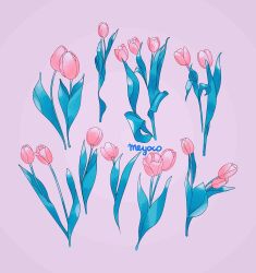 Rule 34 | artist name, flower, flower focus, highres, leaf, meyoco, no humans, original, pink flower, pink tulip, plant, purple background, simple background, tulip