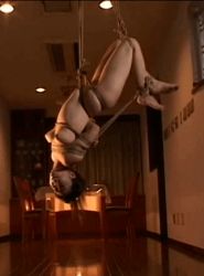 Rule 34 | 1girl, actress request, animated, animated gif, arms behind back, asian, bdsm, bondage, bound, box tie, breasts, ceiling, chair, copyright request, indoors, lowres, medium breasts, nipples, nude, photo (medium), solo, suspension, table, upside-down, wooden floor