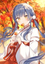 Rule 34 | 1girl, absurdres, autumn leaves, bow, closed mouth, commentary request, detached sleeves, grey hair, hair bow, hakama, hakama skirt, highres, holding, holding leaf, japanese clothes, kimono, leaf, long hair, long sleeves, low twintails, maple leaf, miko, mouth hold, original, outdoors, red bow, red hakama, ribbon-trimmed sleeves, ribbon trim, shiino sera, skirt, solo, tree, twintails, very long hair, white kimono, white sleeves, wide sleeves, yellow eyes