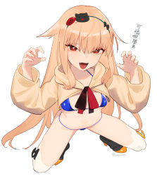 Rule 34 | 1girl, beijuu, bikini, blue bikini, blush, breasts, claw pose, collarbone, fang, girls&#039; frontline, hair flaps, light brown hair, long hair, long sleeves, looking at viewer, medium breasts, open mouth, red eyes, simple background, skin fang, solo, swimsuit, t65 (girls&#039; frontline), tongue, translated, very long hair, white background
