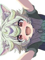 Rule 34 | 1girl, absurdres, animal ear fluff, animal ears, blush, cape, cat ears, child, flipped hair, green brooch, green hair, green shirt, grey cape, hair between eyes, happy, highres, looking at viewer, looking down, made in abyss, open mouth, prushka, red eyes, sekaineko 001, shirt, short hair, solo, teeth, upper teeth only, white background